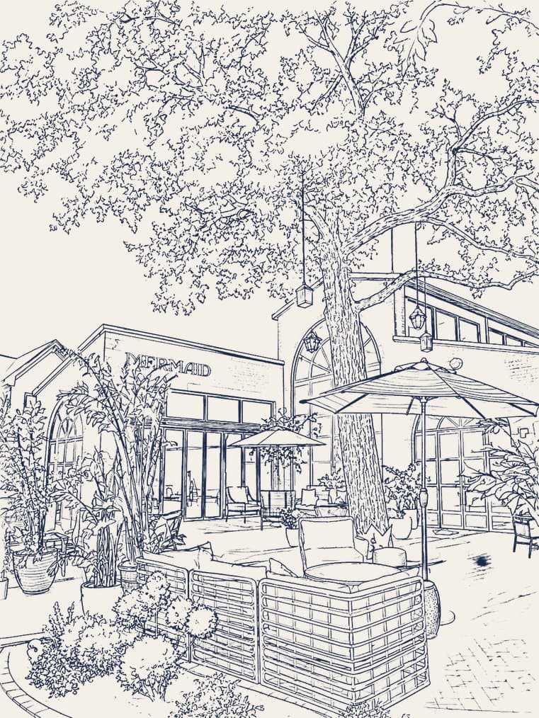 Line drawing of a Bishop Arts storefront beneath a canopy tree